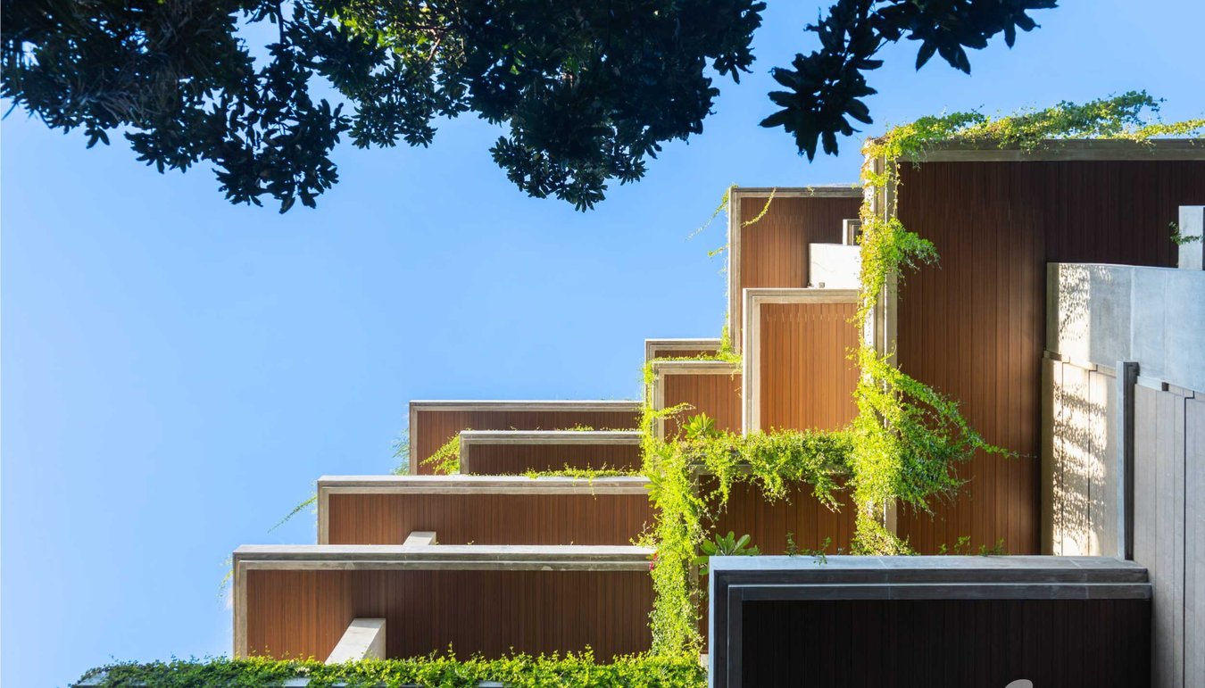 Olympus completed (19)