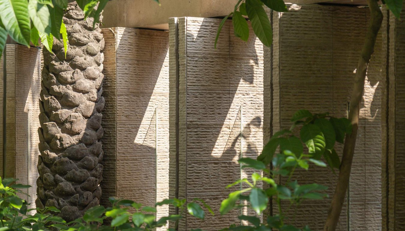 Olympus completed_boundary