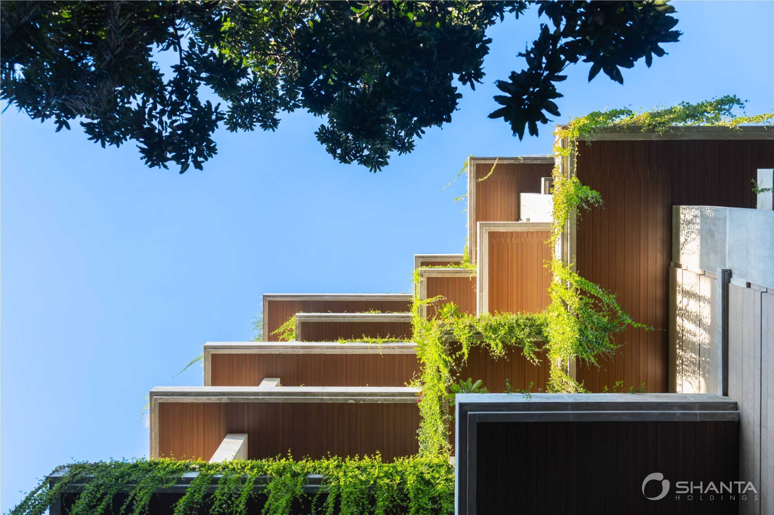 Olympus completed (19)