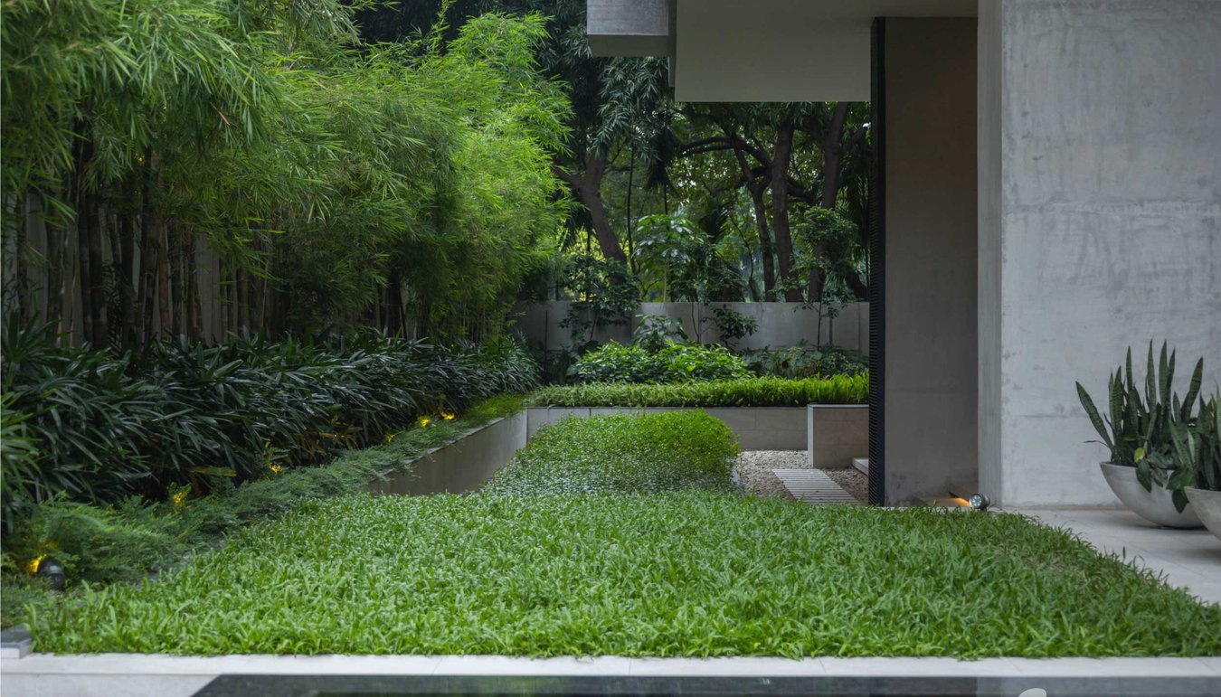 Olympus completed (18)