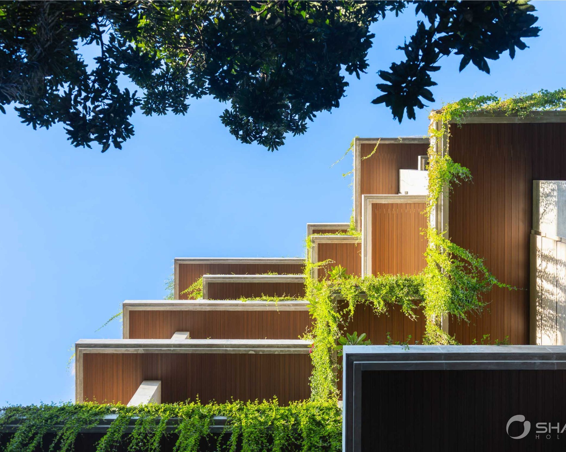 Olympus completed (19)