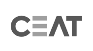asset 33 1